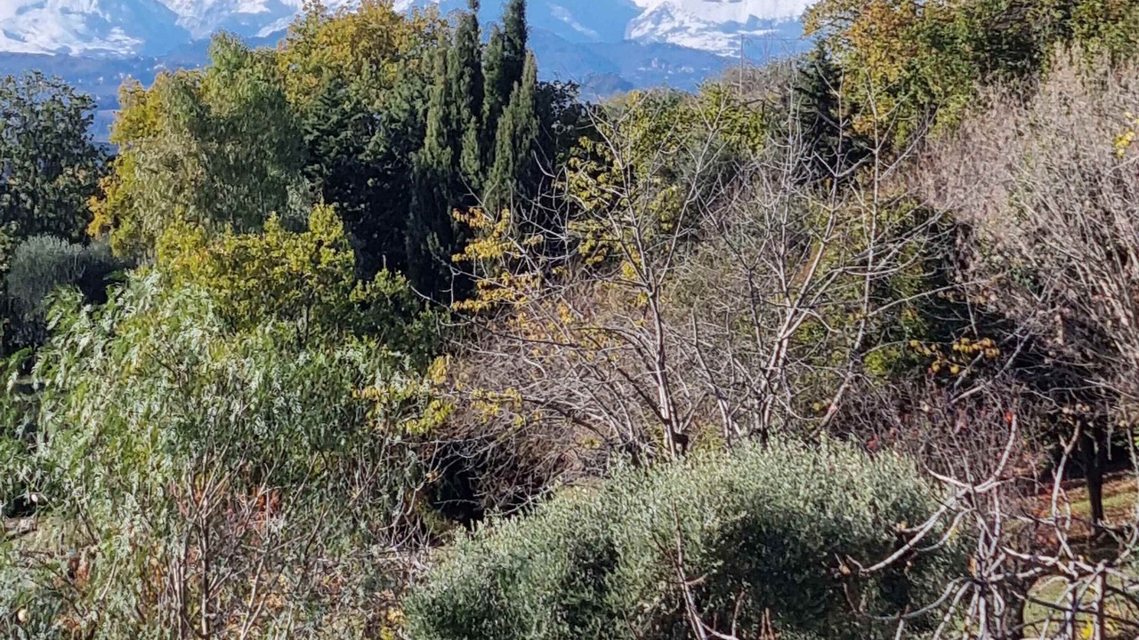 Photo of Others in Moresco