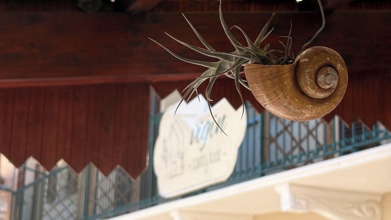 Photo of Outdoor in Magliano Alfieri