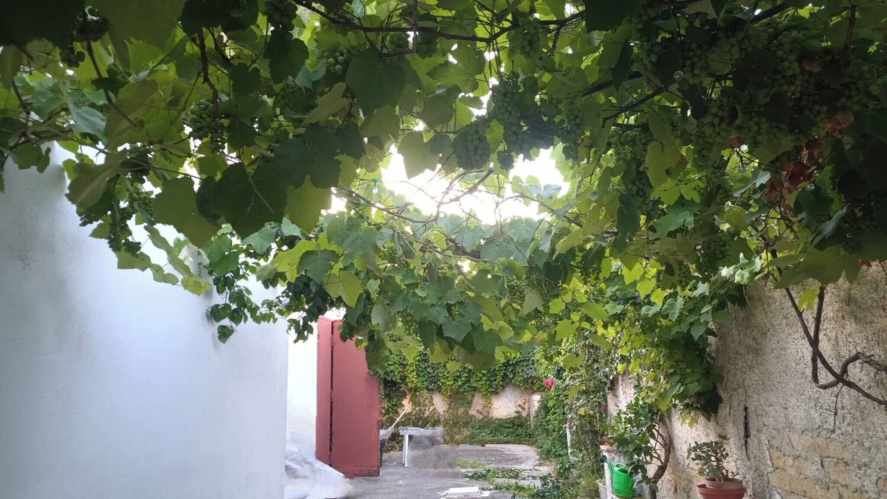 Photo of Outdoor in Mondragone