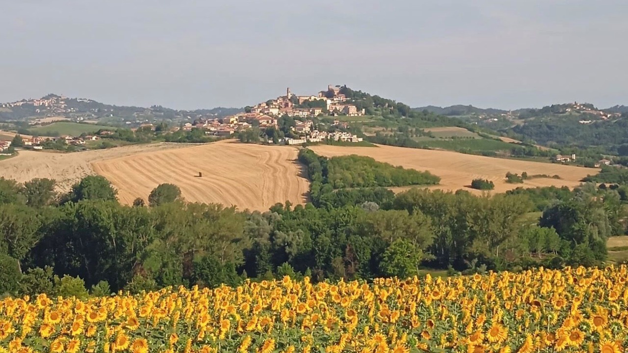 Photo of Others in Montiglio Monferrato