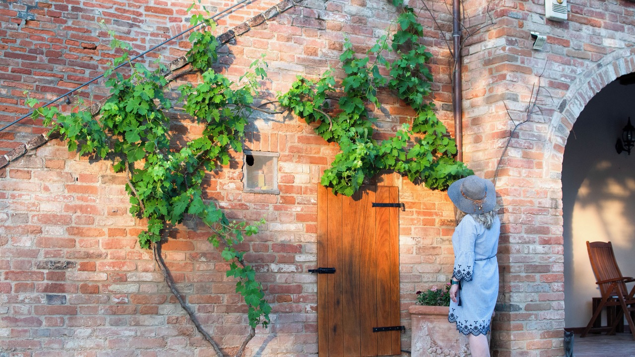 Photo of Outdoor in Montepulciano
