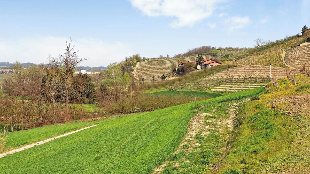 Photo of Outdoor in Priocca