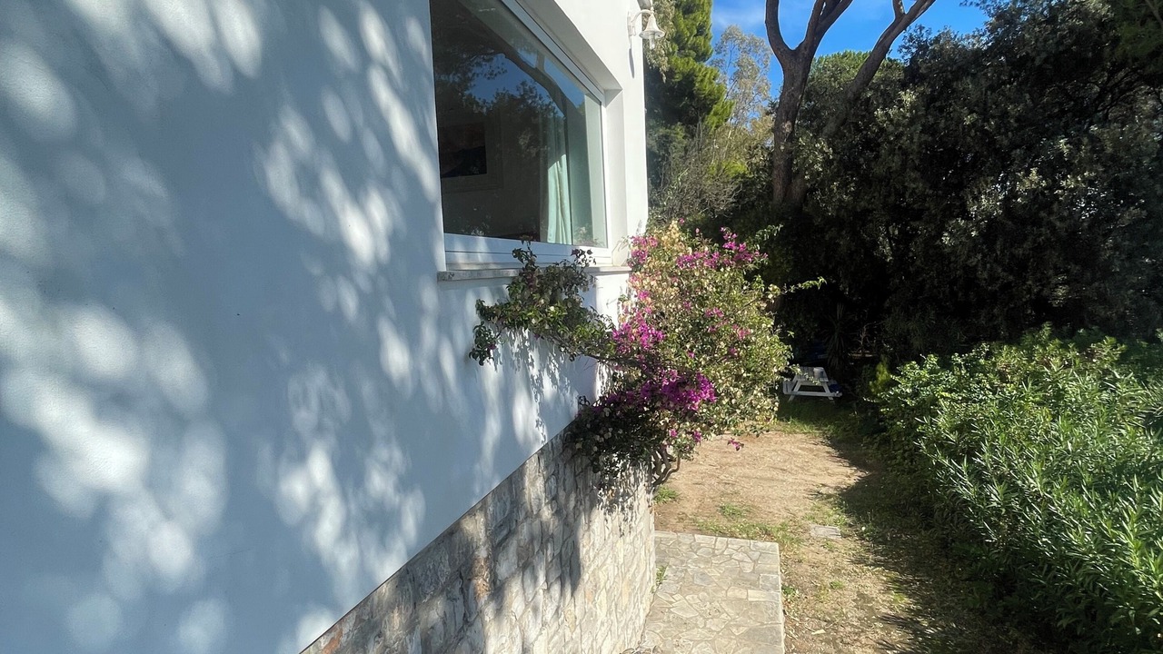 Photo of Outdoor in Faro