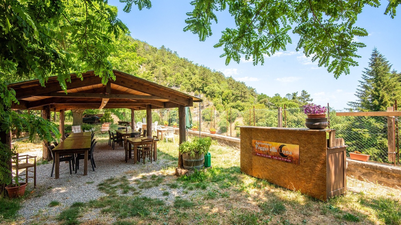 Photo of Outdoor in Montieri