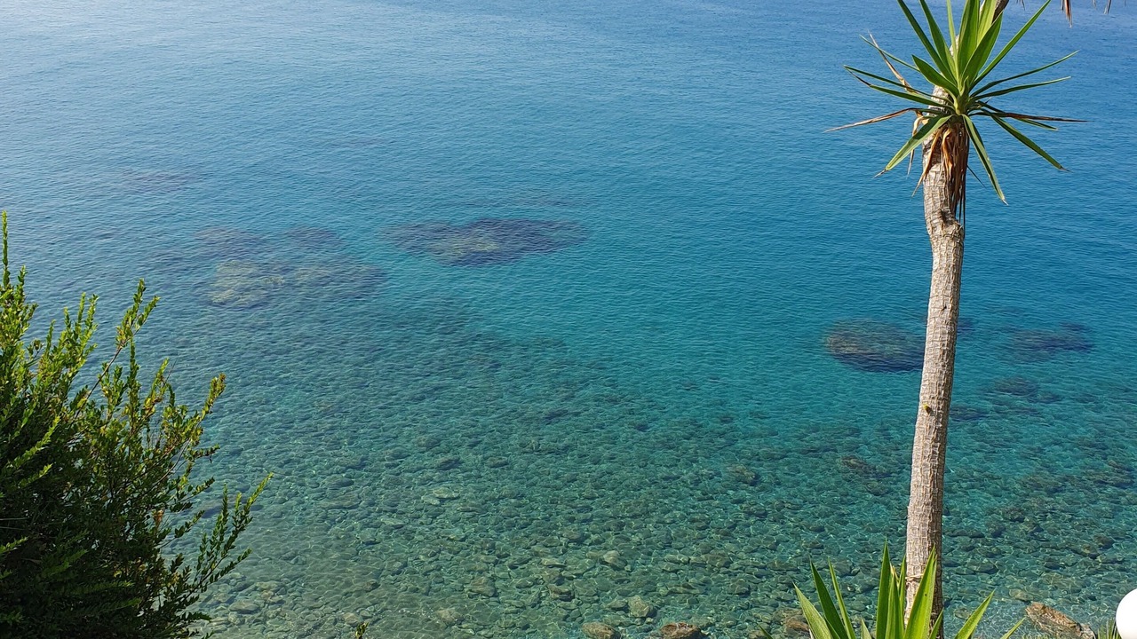 Photo of Others in Bonifati