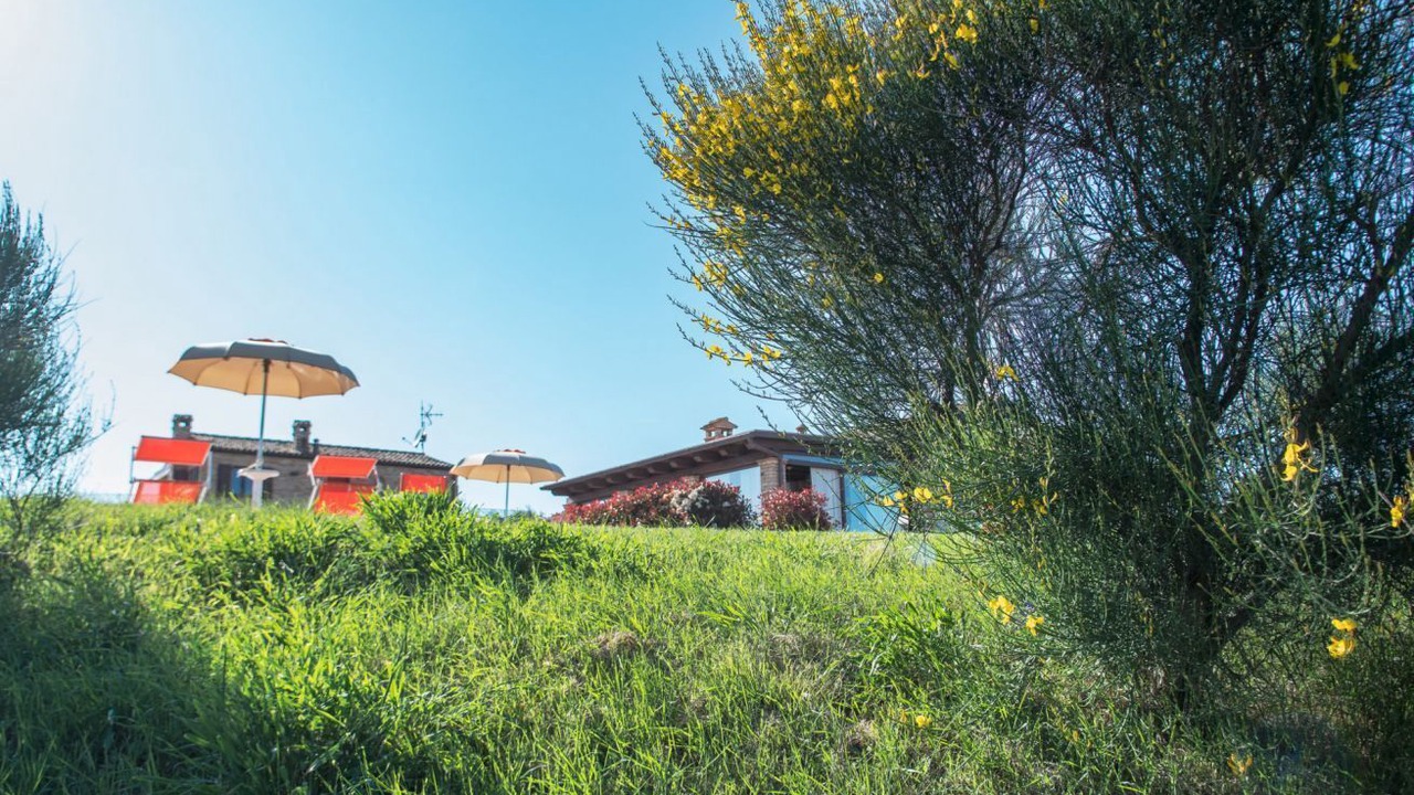 Photo of Outdoor in Castelfidardo