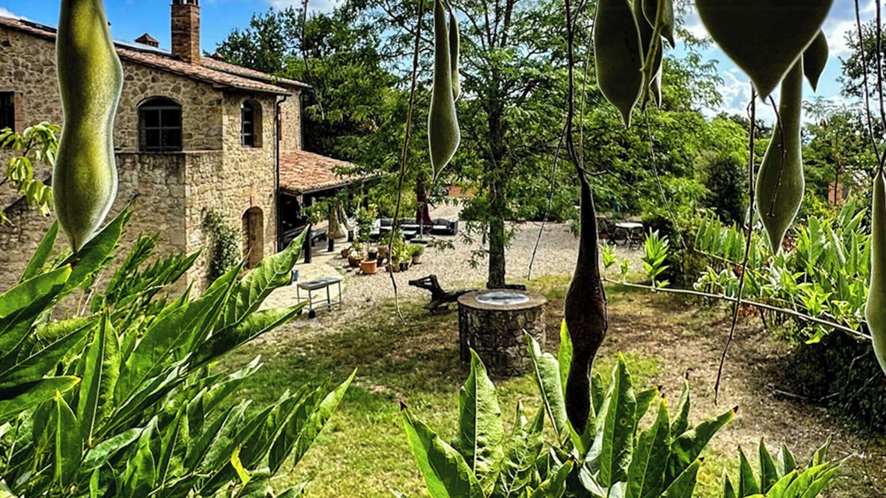 Photo of Outdoor in Sassofortino