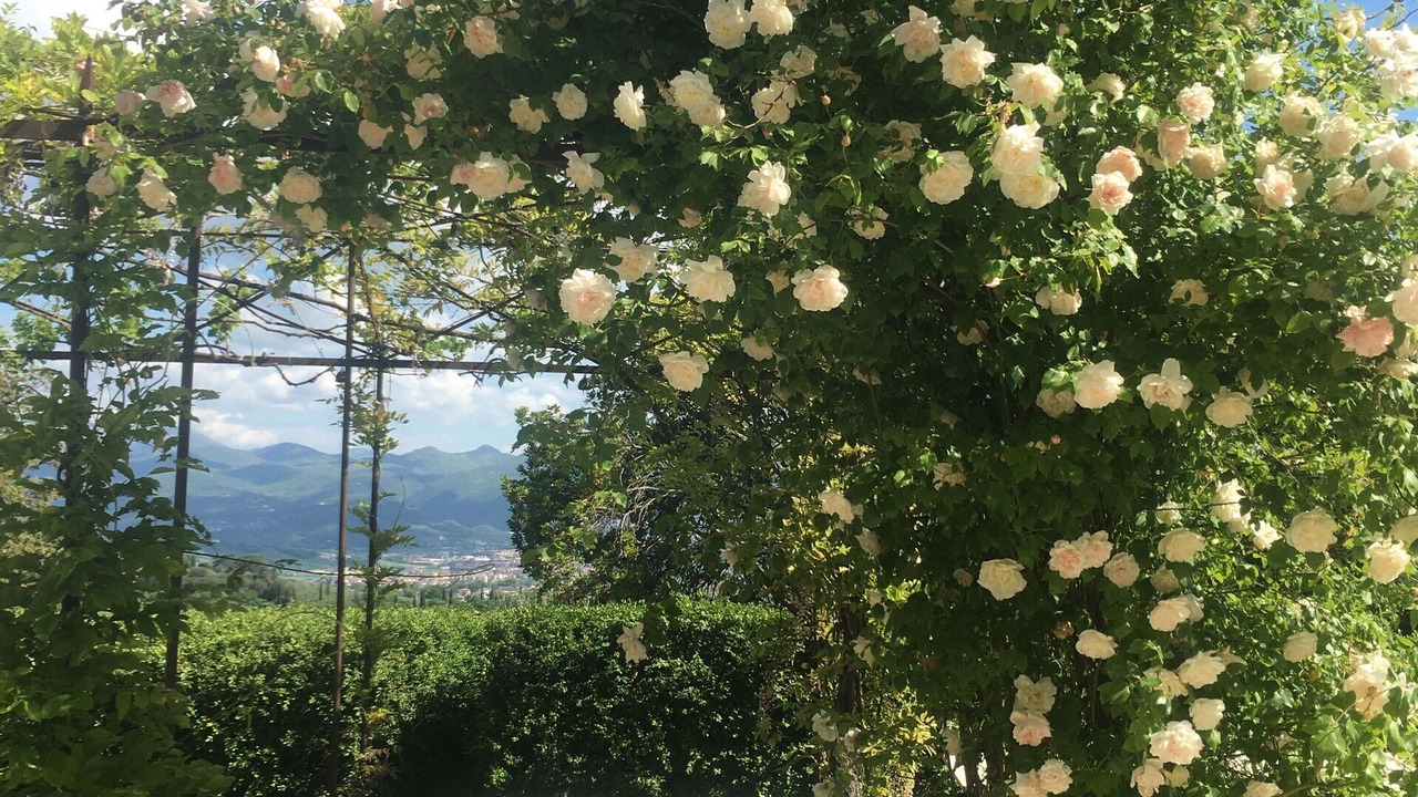 Photo of Patio Balcony in San Brizio