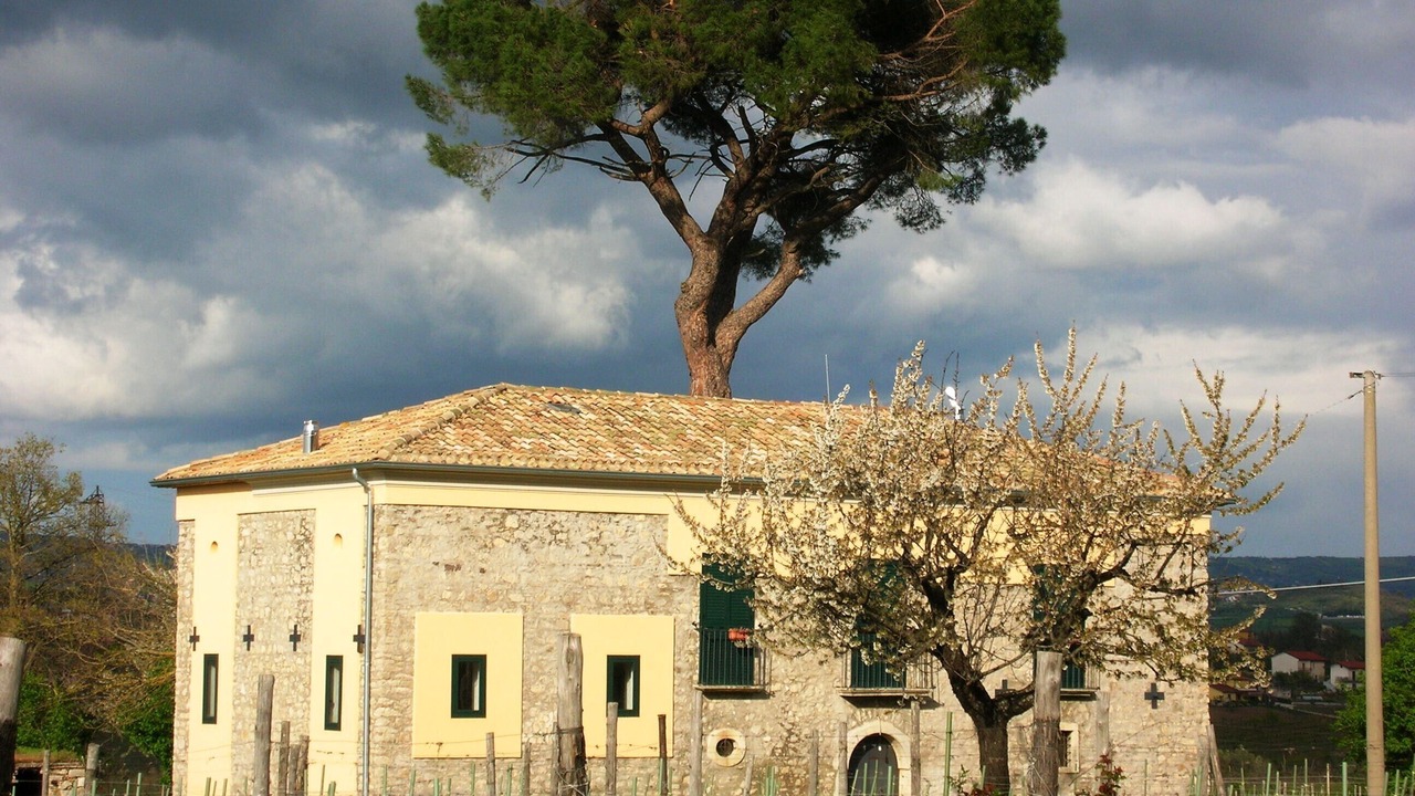 Photo of Outdoor in Paternopoli