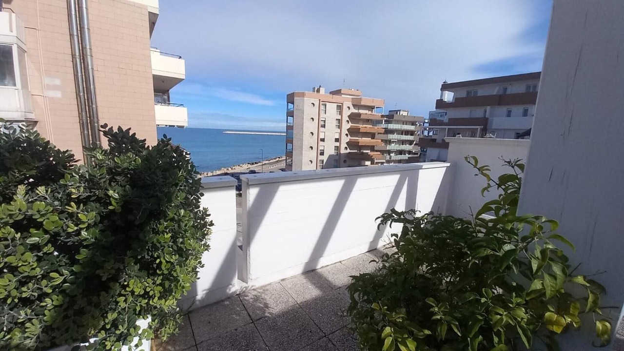 Photo of Outdoor in Municipio 3