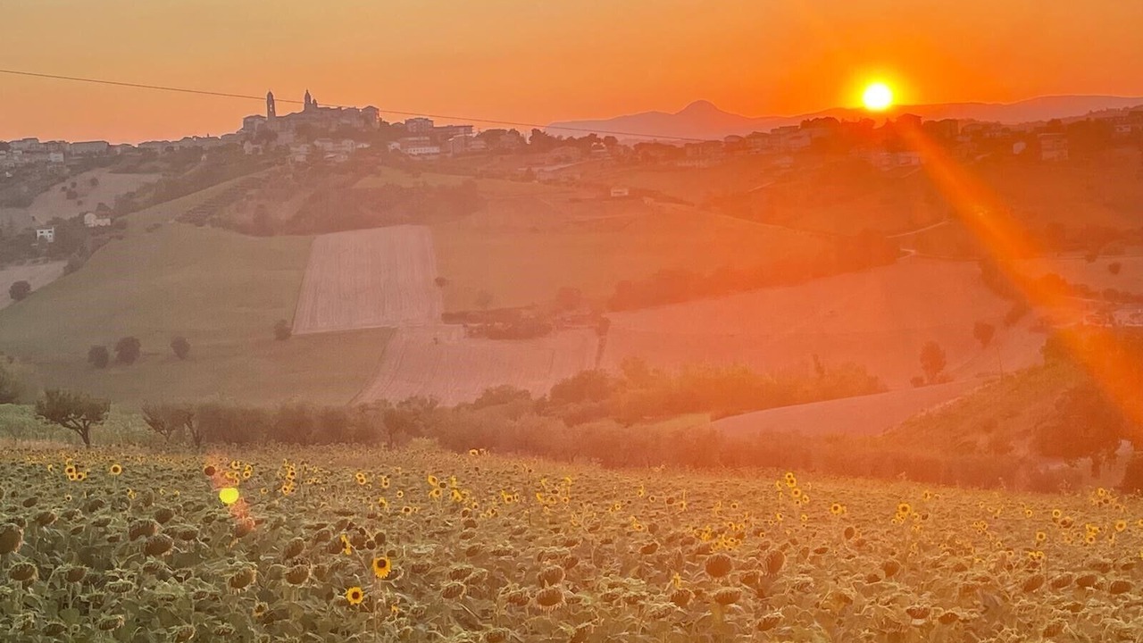 Photo of Others in Monte San Pietrangeli