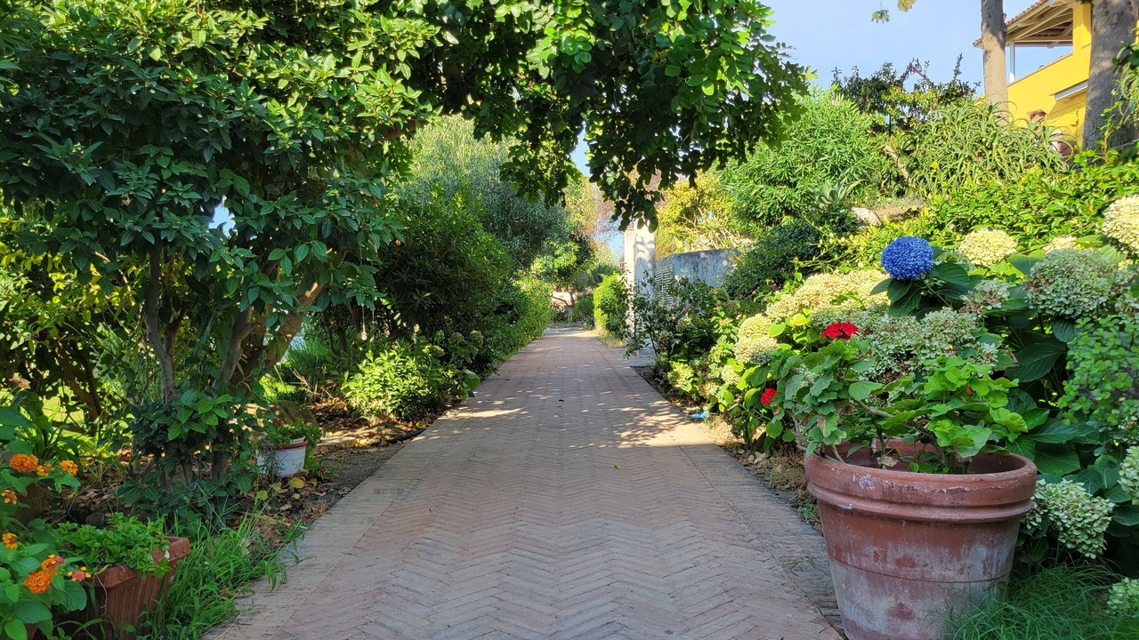 Photo of Outdoor in Procida