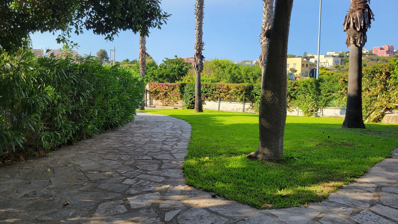 Photo of Outdoor in Procida