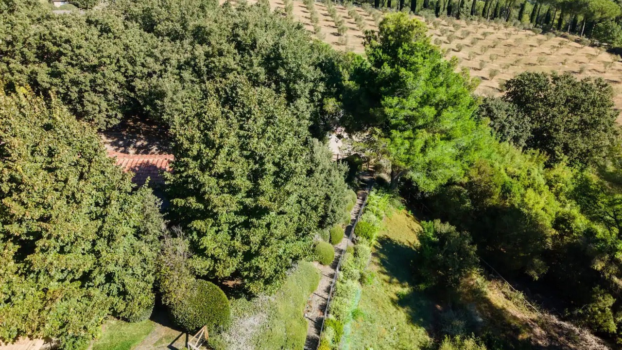 Photo of Outdoor in Capalbio