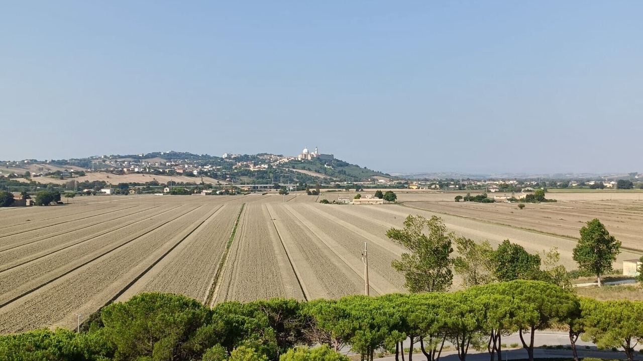 Photo of Others in Porto Recanati
