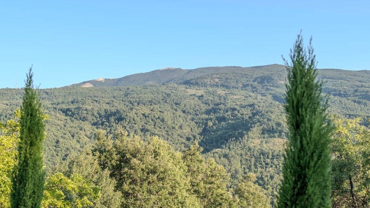 Photo of Others in Spinoso