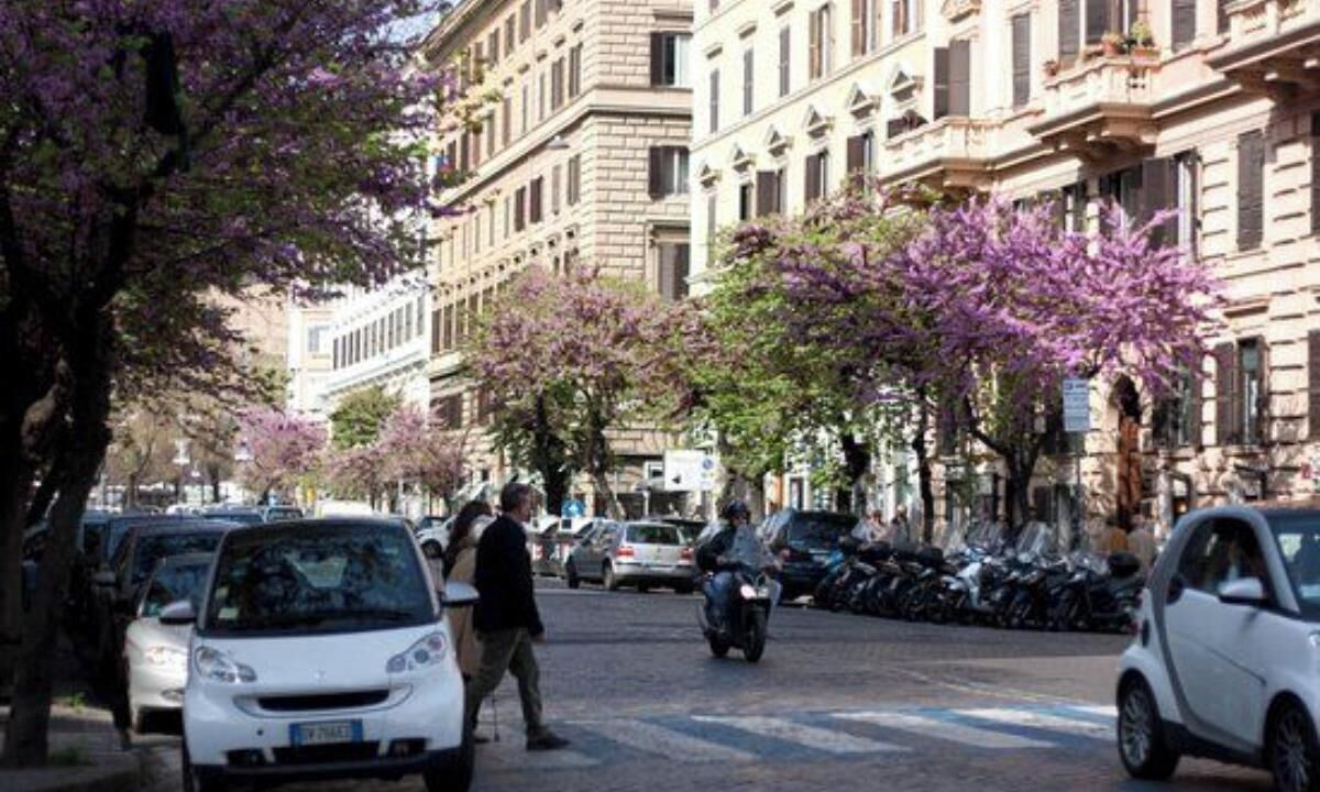 Photo of Others in Prati