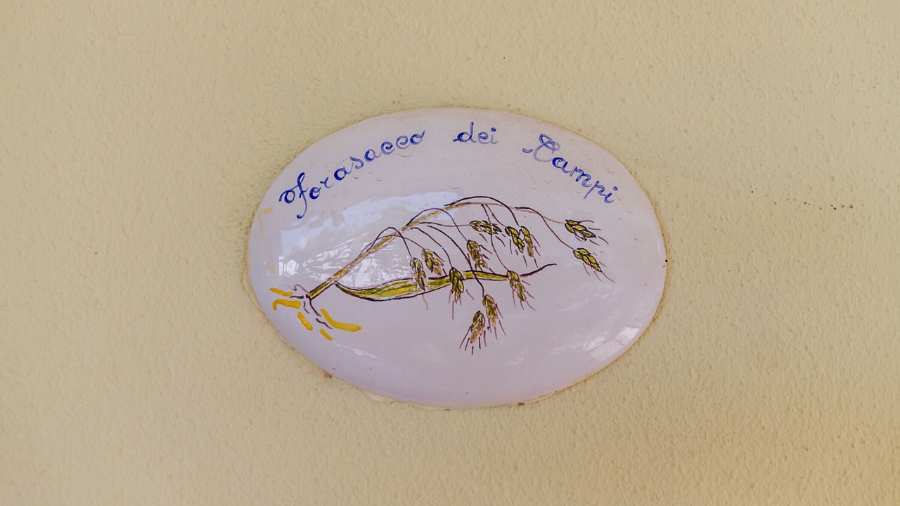 Photo of Others in Grosseto