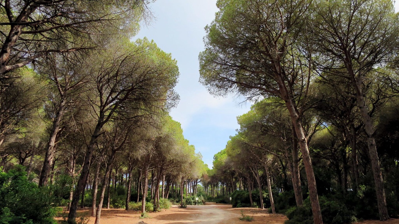 Photo of Others in Monte Argentario