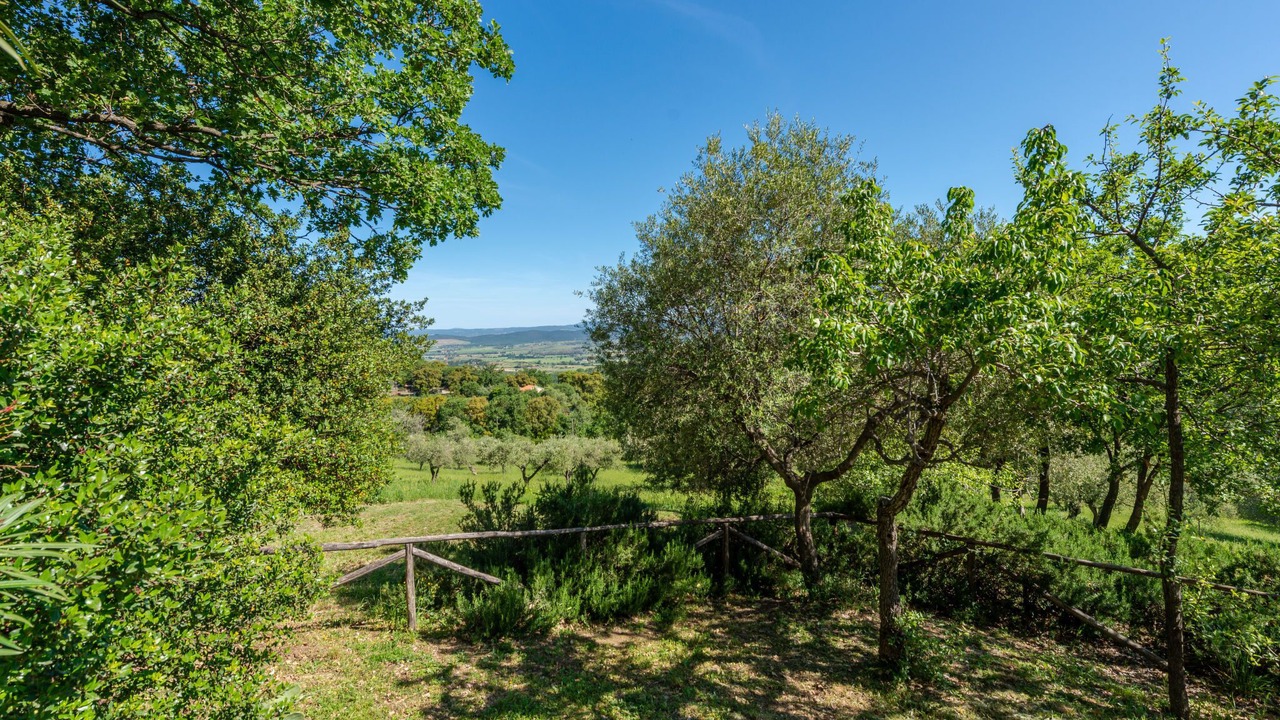 Photo of Outdoor in Scarlino
