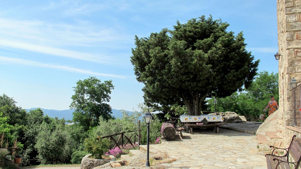 Photo of Others in Roccastrada