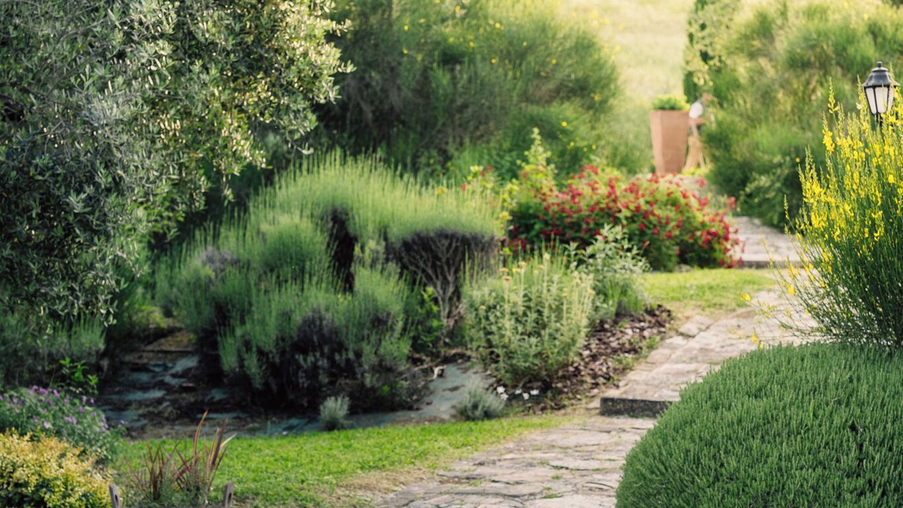 Photo of Outdoor in Mondavio