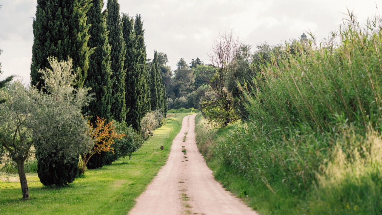 Photo of Others in Mondavio