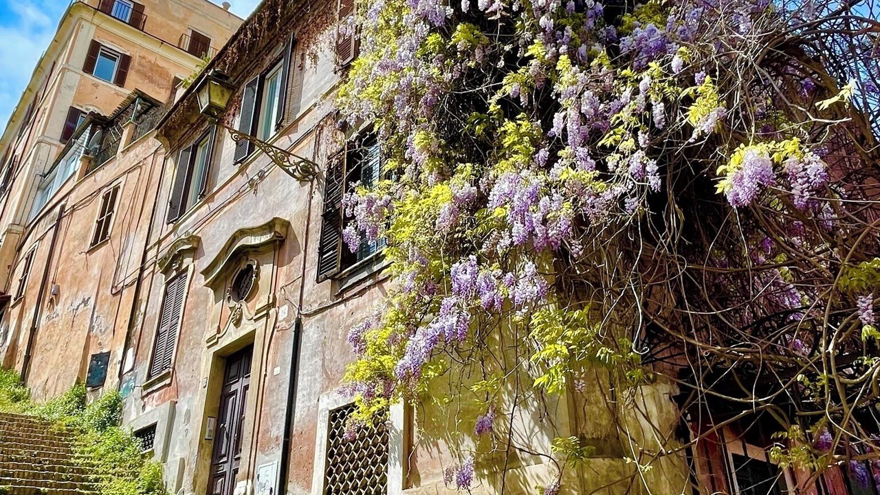 Photo of Outdoor in Rione V Ponte