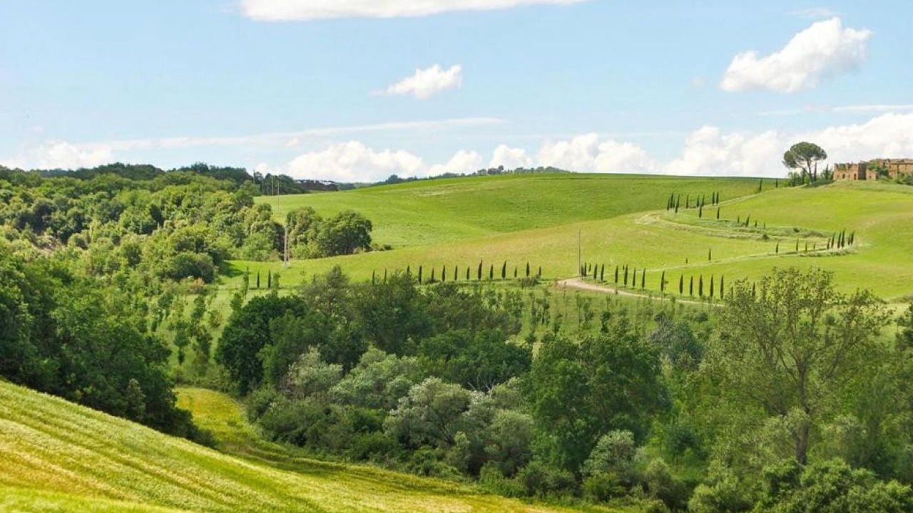 Photo of Others in Montalcino