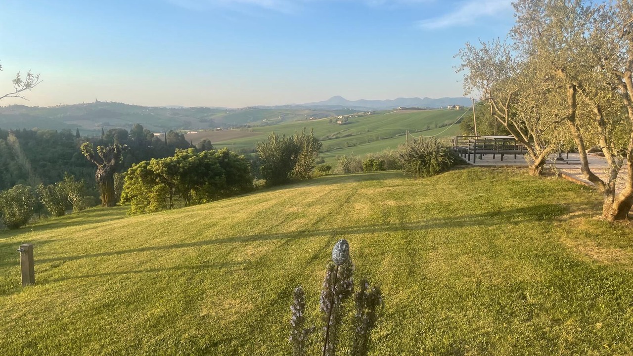 Photo of Outdoor in Corinaldo