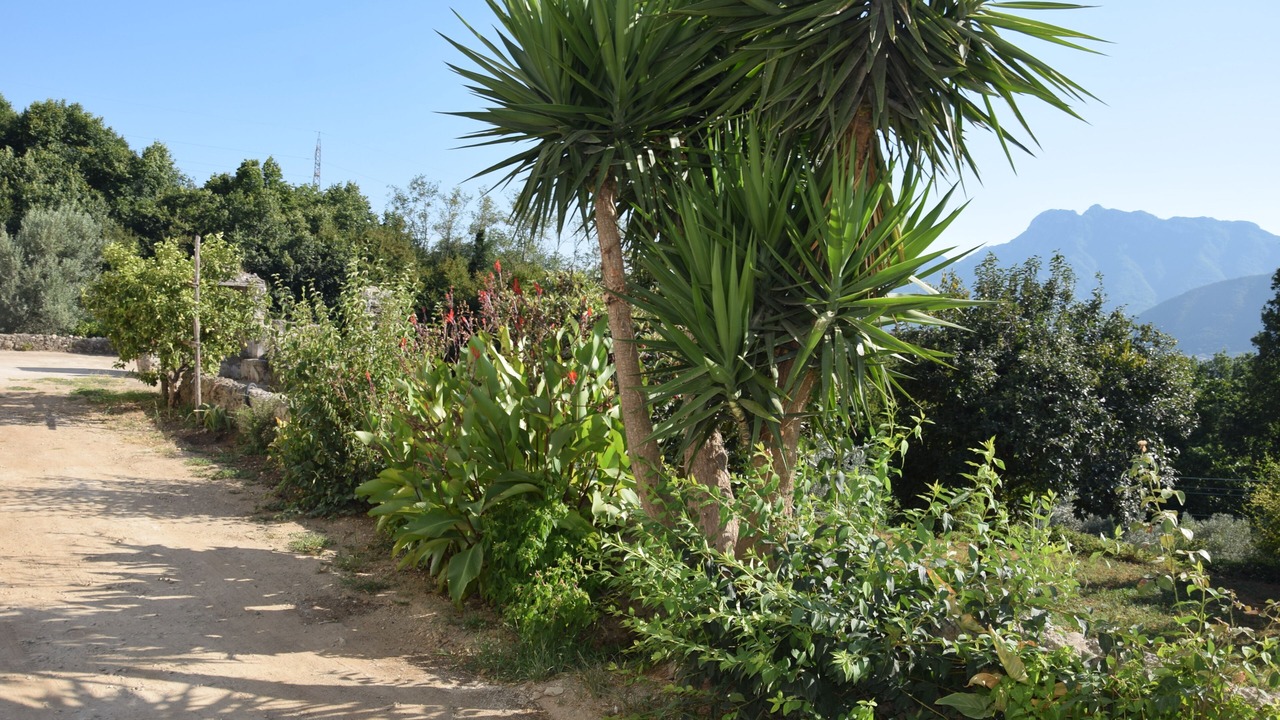 Photo of Outdoor in Cava de' Tirreni