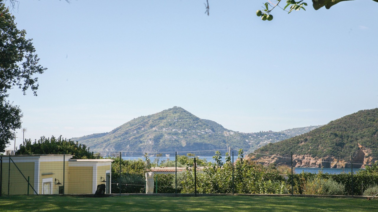 Photo of Outdoor in Procida