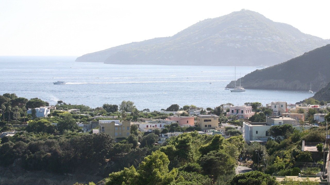 Photo of Others in Procida