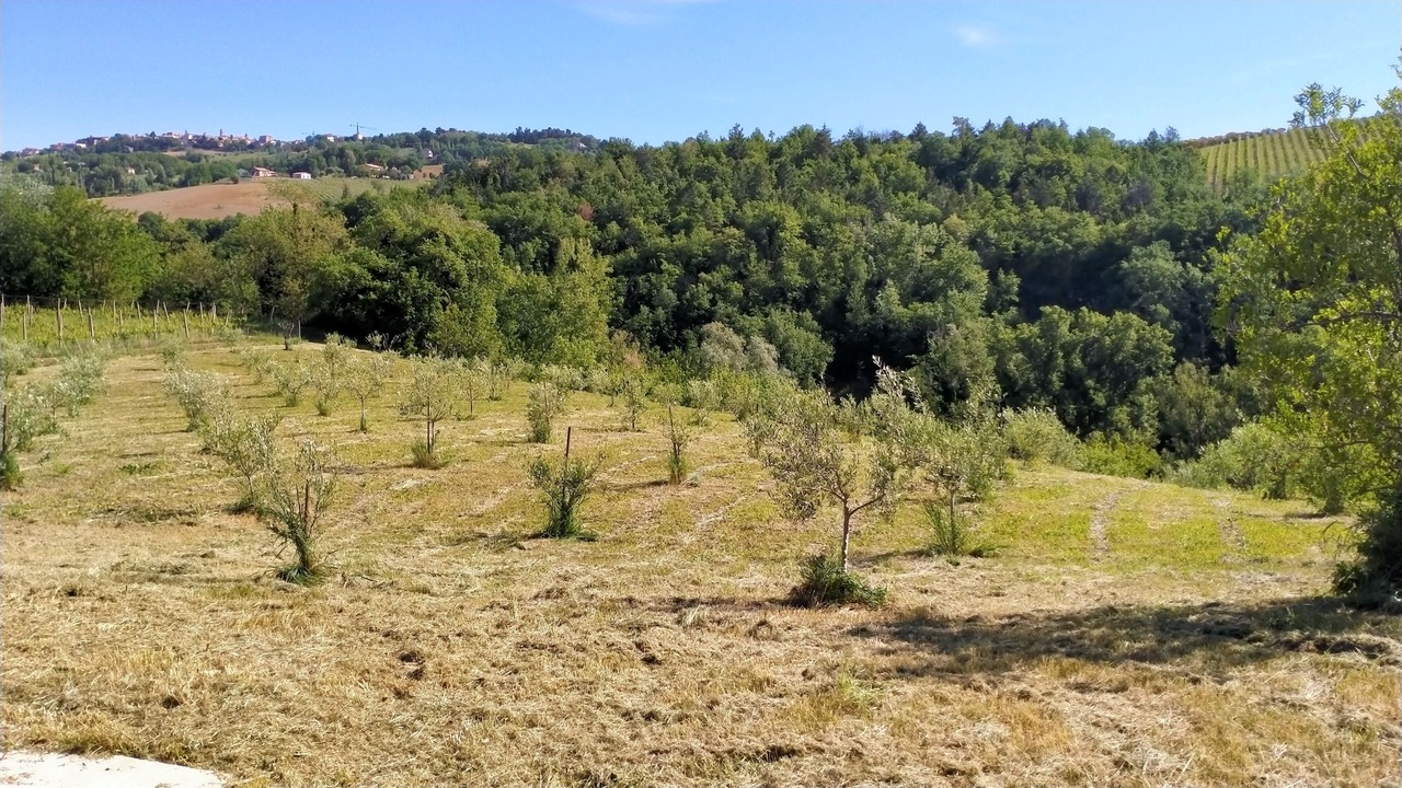 Photo of Outdoor in Apiro