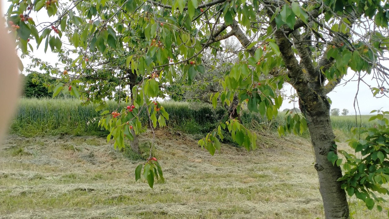 Photo of Outdoor in Apiro