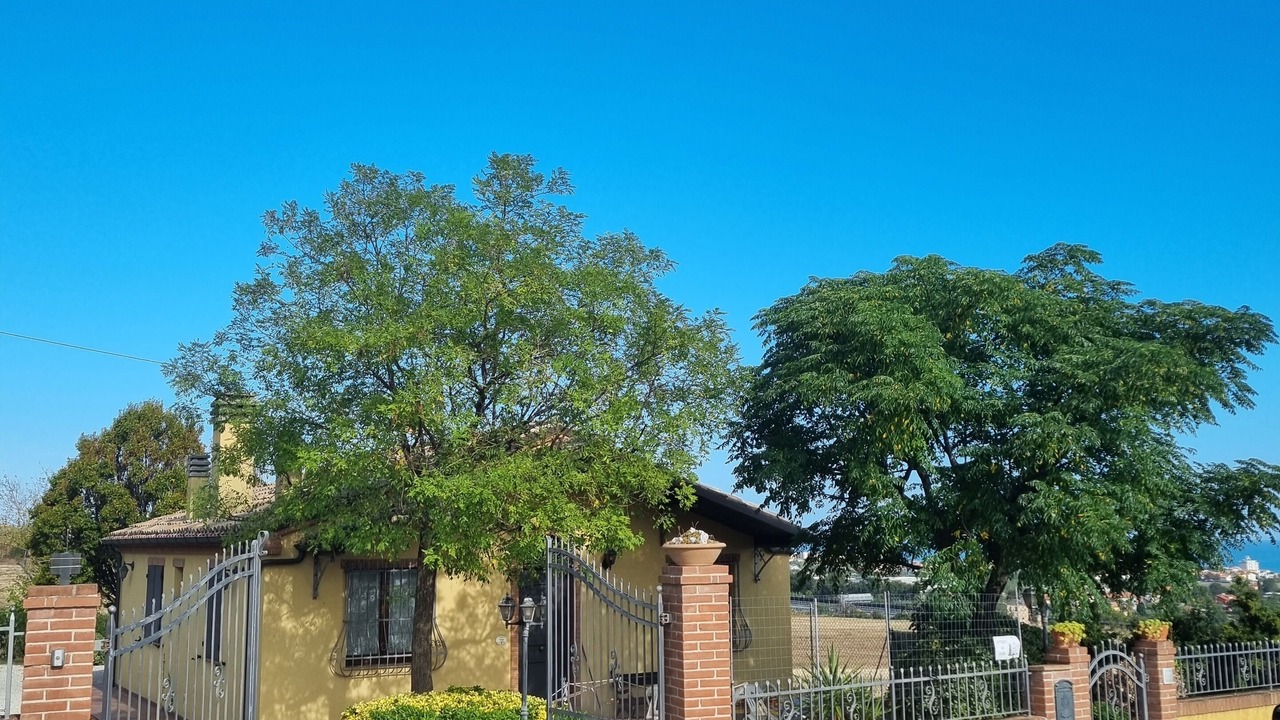 Photo of Outdoor in San Costanzo