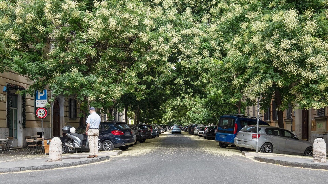 Photo of Outdoor in Vatican