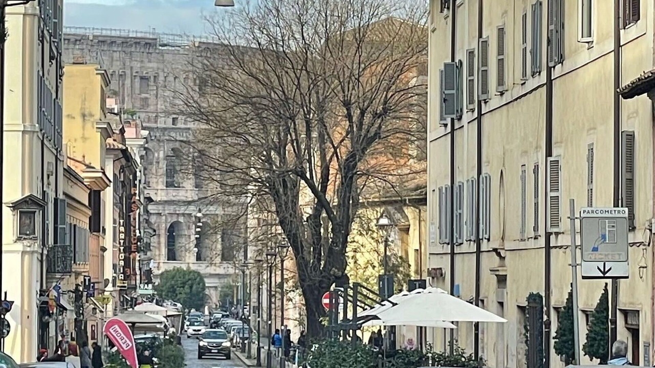 Photo of Others in Monti