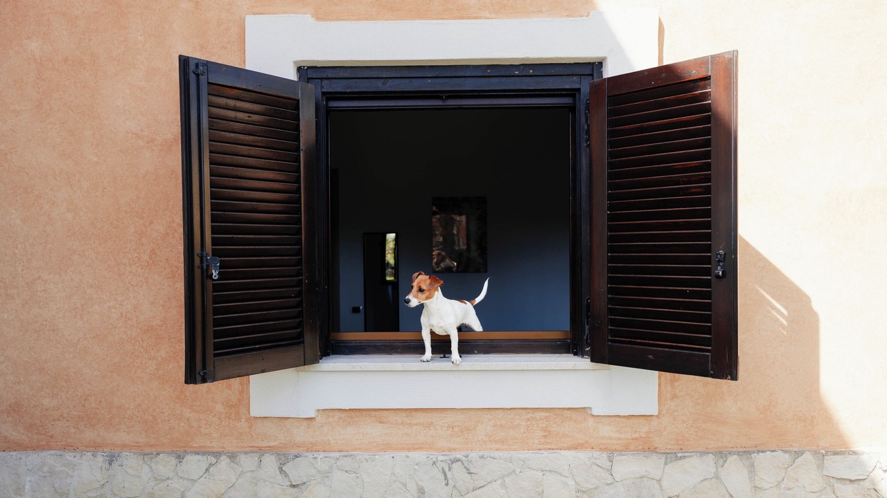 Photo of Outdoor in Marina di Pisticci
