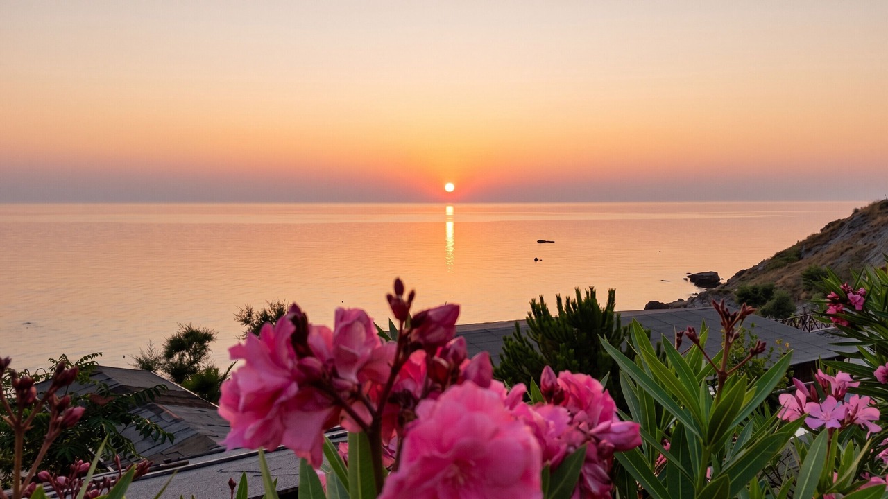 Photo of Others in Crotone