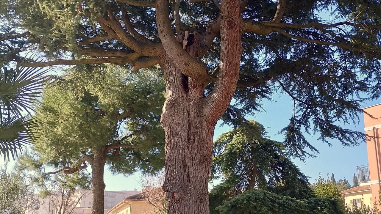 Photo of Outdoor in Castelfidardo