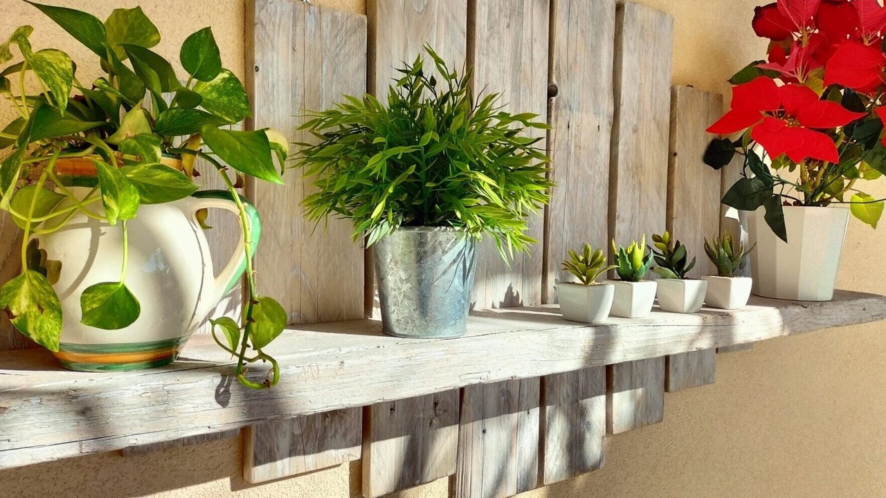 Photo of Outdoor in Castelfidardo