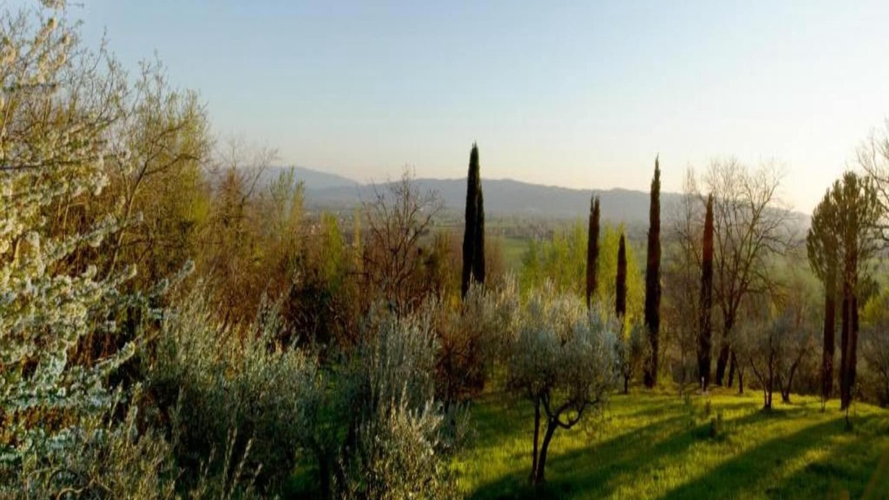 Photo of Others in Assisi
