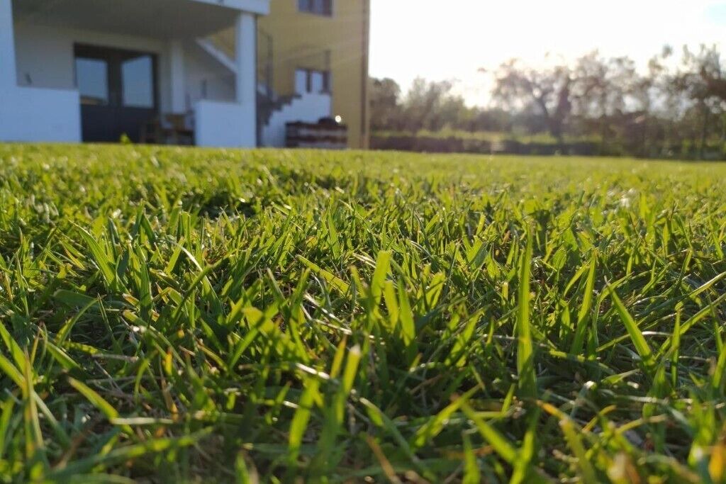 Photo of Outdoor in Vasto