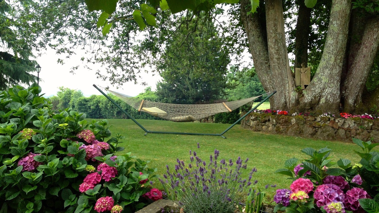 Photo of Outdoor in Torre Alfina
