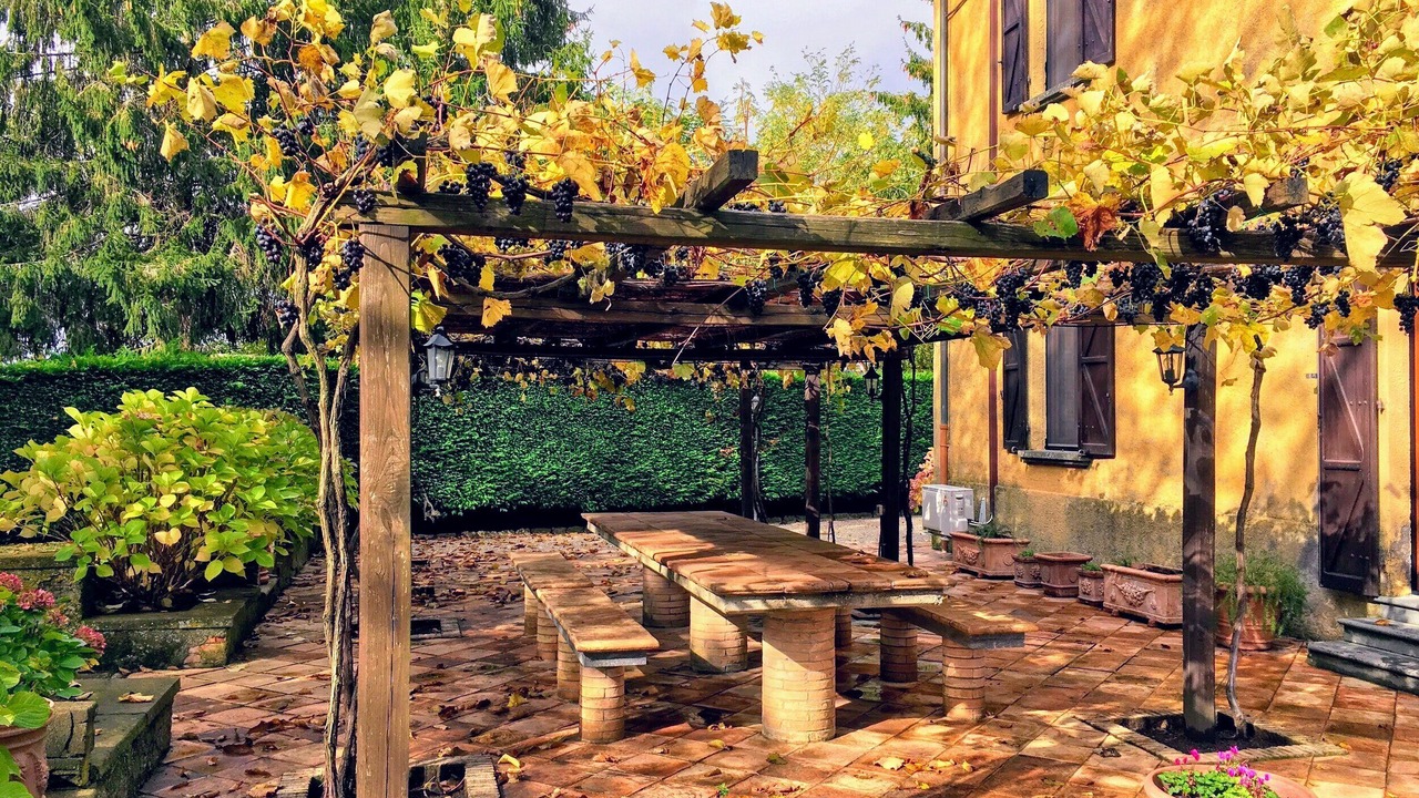 Photo of Outdoor in Torre Alfina