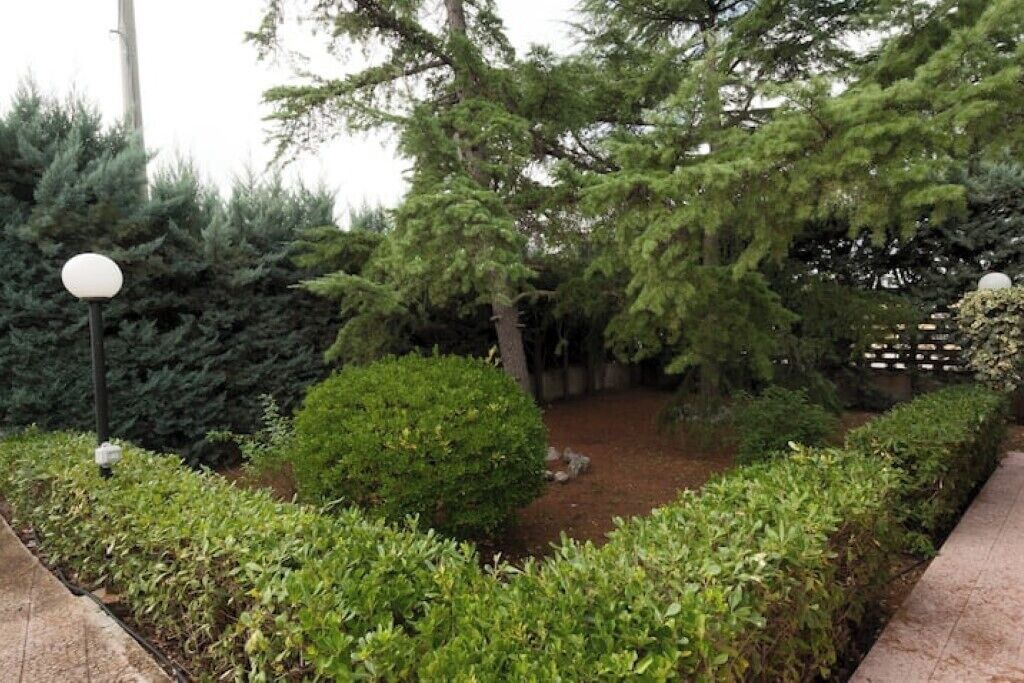 Photo of Outdoor in Bisceglie