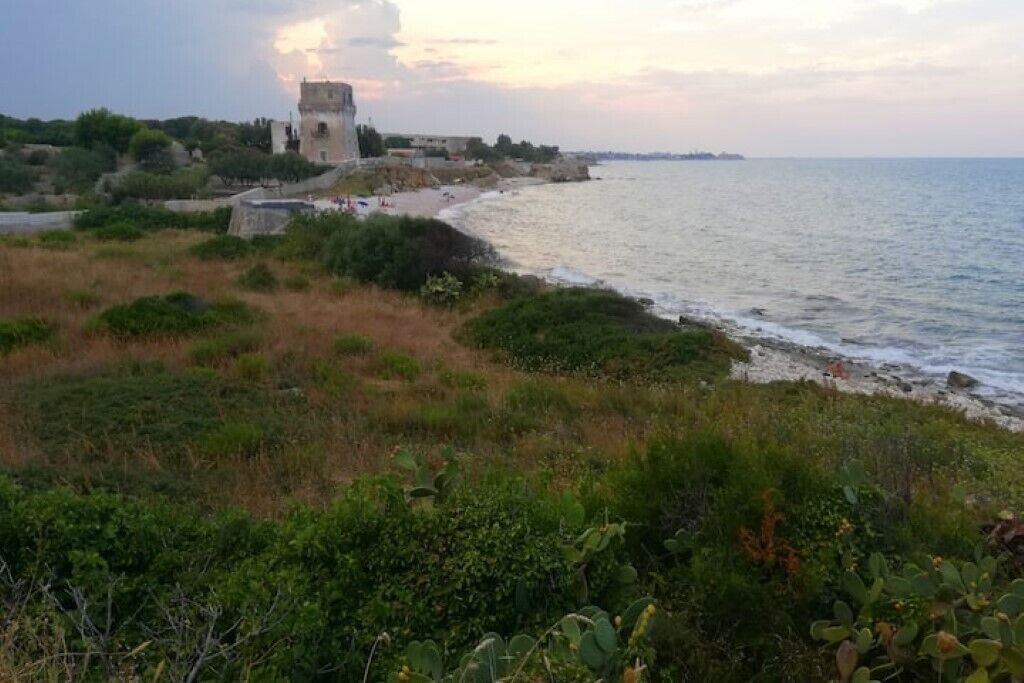 Photo of Others in Bisceglie
