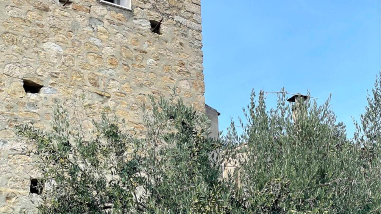 Photo of Outdoor in Carpineto Sinello