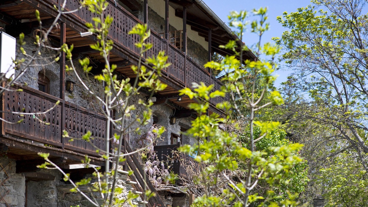 Photo of Outdoor in Saint-Pierre